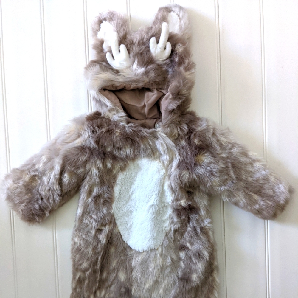 Pottery Barn Kids Costume